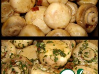 ������ ������� �� ����������� �����������