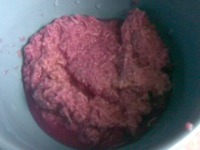 ���� "��������" �����������