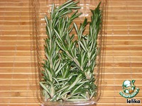 ������ � ���������� �����������