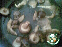 ��������� ���� �����������