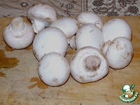 ������ � ������� � ���������� �����������