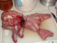 ������ � ���������� ��-����������� �����������