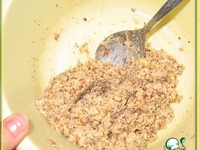 �����-�������� ������ �����������