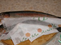 ������, ���������� � ������ �����������