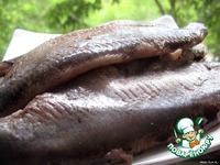 ���� ������ � ������ ����� �����������