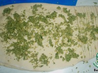 �������-�������� �����������