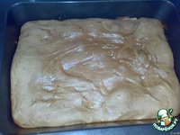 ������ "�������" �����������