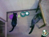 ����� � ��������-��������� ����� � ������� � ��������� �����������