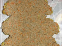 ���������� ���� "���������� e�����" �����������