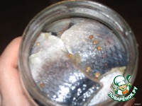 ������ ������ �����������