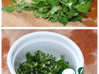 ����� � ����������� �����������