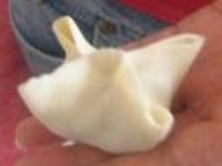 Buuz/���� �����������