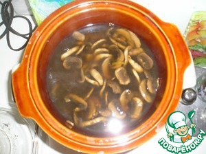 Рецепт Картофельный суп в МЕДЛЕННОВАРКЕ объемом 2,5 литра