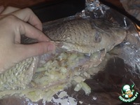 ����, ������������� ����� � ������� �����������