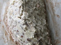 ���� "������ ������" �����������