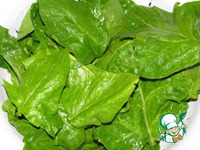 ����� �� �������� � ������� ����� �����������