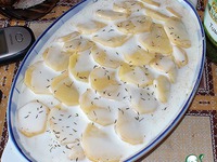 ������ ������� �����������