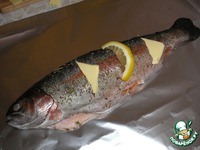 ������, ���������� � ������ �����������