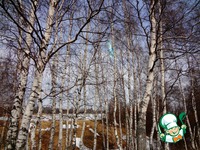 ������� �������� ������� �����������