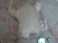   &quot;Victoria&quot; 