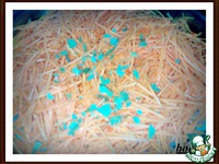 ������ �������� � ������ ������� �����������