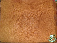 ���� "�������" �����������