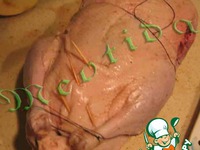 ������������� ���� "������������ ��������" �����������