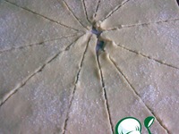 ������ �������� �����������