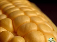 ���������� ����-��� �����������