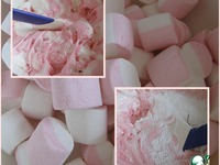 ���� "����� �����" �����������