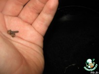 ����� � ������� ���� � ������ �����������