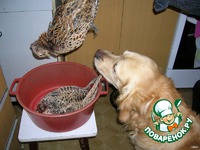 ���e��� ����� �� ������ �����������