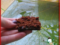 ������� �������-���������� "������ �����" �����������