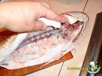 ������������� ������ "��������� �������" �����������