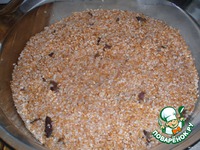 ������������ ���� �����������