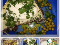 ����� � ������� ��-���������� �����������