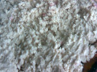 ������� ����� �� �������� ���� �����������