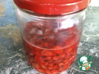 ������� � ������ � ������ �����������