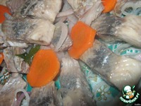 ������� ������ ������� "��������������" �����������