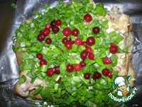 ������ ������ �����������