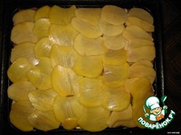 �������� �����������