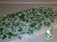 ����� �� ������ "���������" �����������