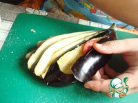 ������������ ���� �����������