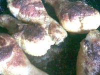 �������� �����������