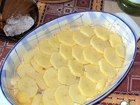 ������ ������� �����������