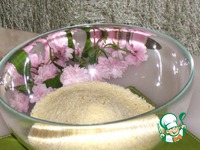   &quot;&quot;-&quot;Colombelle&quot; 