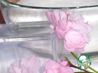   &quot;&quot;-&quot;Colombelle&quot; 