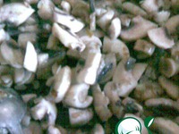 ������������� ������� ���� � ������� ����� �����������