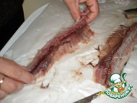 ������ "�������" �����������