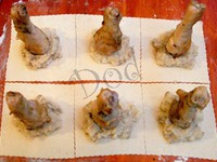 ������� ����� � �������� � �������� �����������